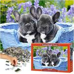 CASTORLAND Puzzle układanka 1000 elementów French Bulldog Puppies - Buldogi francuskie 68x47cm w sklepie internetowym okazje24.eu