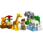 LEGO DUPLO 4962 Małe Zoo w sklepie internetowym MojeKlocki24.pl 