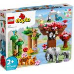 LEGO DUPLO 10974 Dzikie zwierzęta Azji w sklepie internetowym MojeKlocki24.pl 