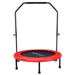 Trampolina Skippy z uchwytem 120 cm dla dzieci Insportline - 4ft (120cm) w sklepie internetowym TopSlim