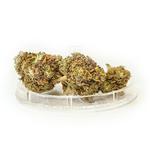 Susz konopny CBD Therapy Haze 2g w sklepie internetowym Vapuj.pl