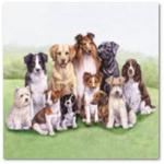 Serwetka do decoupage 2803 Pedigree Dogs AMB w sklepie internetowym Serwetnik.pl