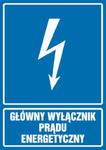 Główny wyłącznik energetyczny prądu w sklepie internetowym Sklep-ppoz.pl