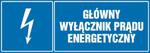 Główny wyłącznik energetyczny prądu w sklepie internetowym Sklep-ppoz.pl