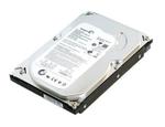 Dysk twardy HDD 250GB 3,5" SATA II (odnowiony) NBOX E2 w sklepie internetowym Matjul.pl