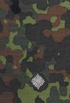 Pagon BW flecktarn - srebrne obszycie - 16. Leutnant w sklepie internetowym Vest.pl