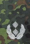 Pagon BW flecktarn - srebrne obszycie - 21. Oberstleutnant w sklepie internetowym Vest.pl