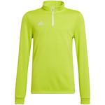 Bluza dla dzieci adidas Entrada 22 Training Top limonkowa HC5060 116cm w sklepie internetowym LoveStrong.pl